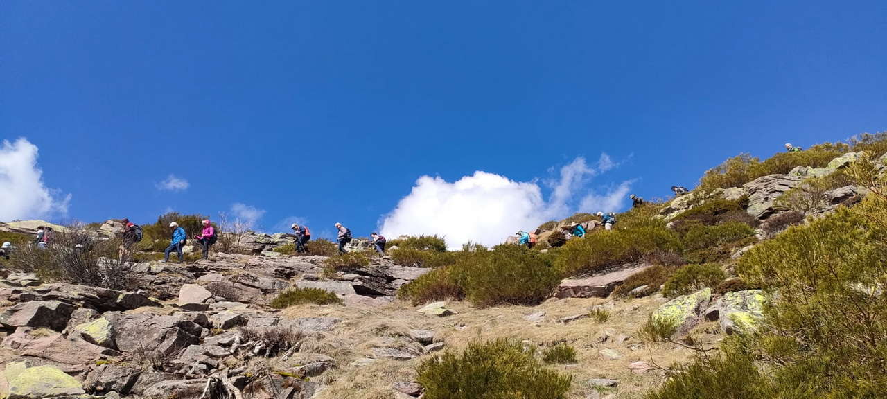 WhatsApp Image 2026-04-08 at 07.40.55 (2)